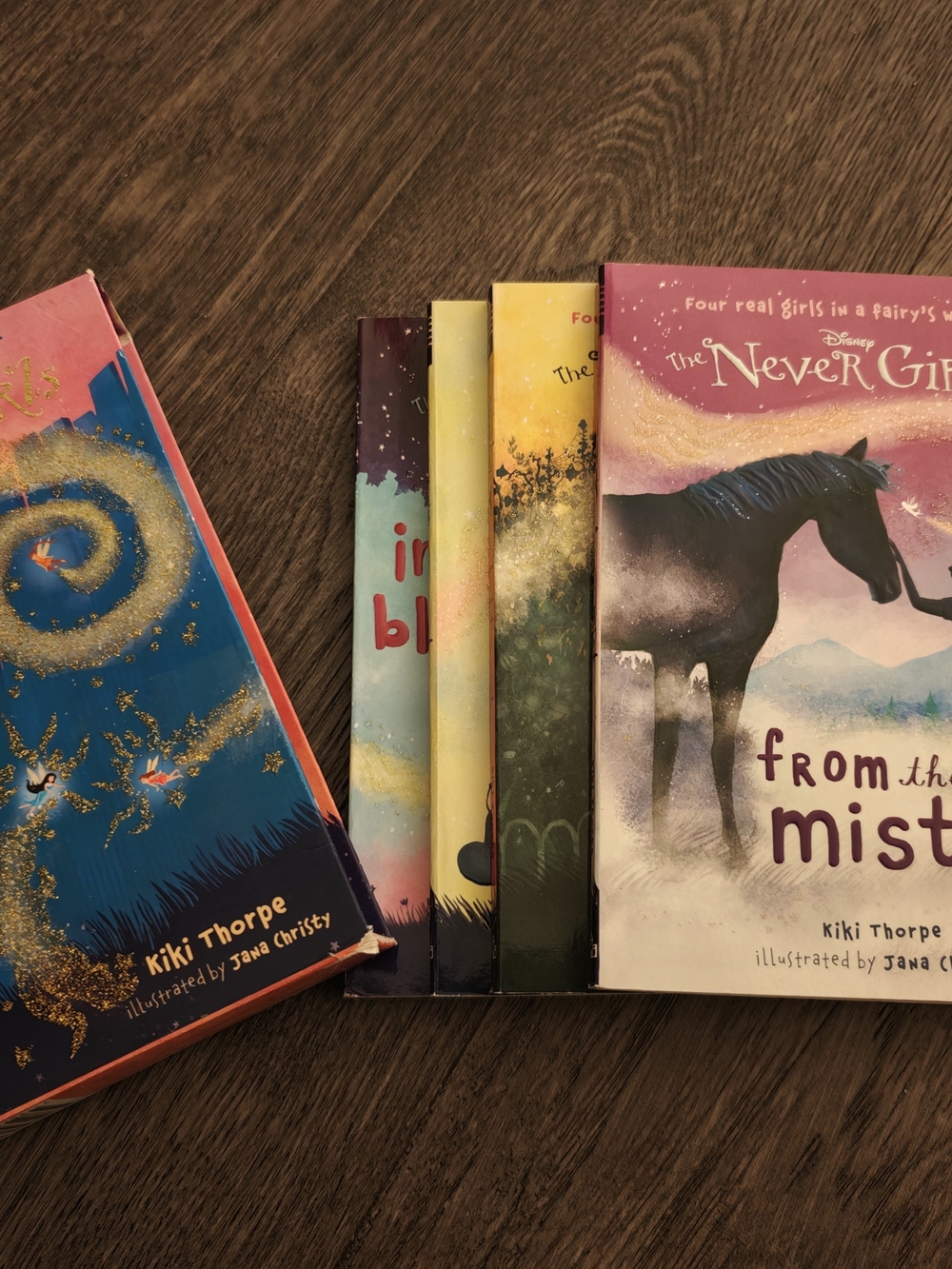 Never Girls 4 Book Slipcover Set Books